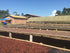 Alto Beni Cacao Company 1 lb BOLIVIA ALTO BENI, HEIRLOOM, ORGANIC RAW CACAO/COCOA BEANS