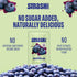 Packets 10 Smash Foods Blueberry Jam Squeeze | Single Serve | Natural, Keto & No Sugar Added | Vegan & Upcycled Fruit