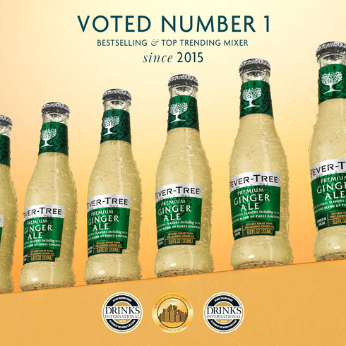 6.8 Oz (Pack 24),A500111 Fever-Tree Premium Ginger Ale, No Artificial Sweeteners, Flavourings or Preservatives, Fl