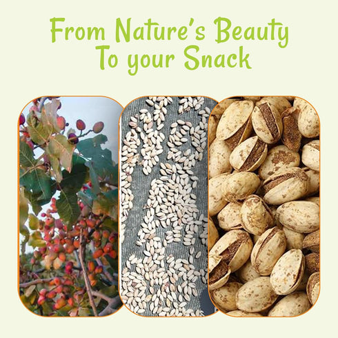2 LB Packed Oh! Nuts Spiced Pistachios with Chili Lemon Flavor, Bold & Tangy Snack, Tajin-Style Seasoning, Chili