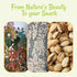 2 LB Packed Oh! Nuts Spiced Pistachios with Chili Lemon Flavor, Bold & Tangy Snack, Tajin-Style Seasoning, Chili