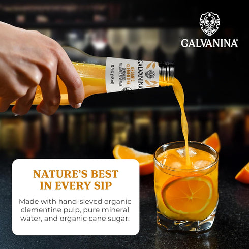 12 oz (6 Galvanina Clementine Premium Organic Italian Sparkling Soda, fl Glass Bottles) | Made with Organic