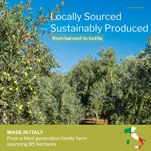 Yolioo 100% (17.6oz) Tuscany Premium Organic Olive Oil Extra Virgin | Polyphenol Rich Extra Virgin Olive Oil Cold
