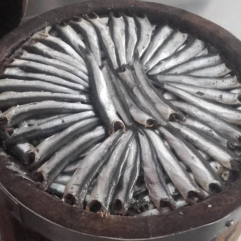 14.8 oz Nettuno Salted Anchovies Cetara, Campania, Italy