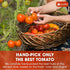 1.56 lbs (25oz) 100% Lavendium, Premium Tomato Powder Pure Dehydrated Tomato Non-GMO, Vegan, Gluten-Free, No Additives