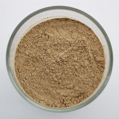 8oz Shiitake Mushroom Extract Powder Gourmet Ingredient for Broths, Marinades, Ramen, Sauces & Asian-Inspired Dishes