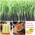 QuvgnEther 350g/12.35oz Large Sized Yellow Rock Sugar Made of Cane Rock Sugar for Pho & Cooking