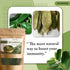 100% 1oz (28g) Natural Dried Soursop Leaves From Ceylon Sri Lanka