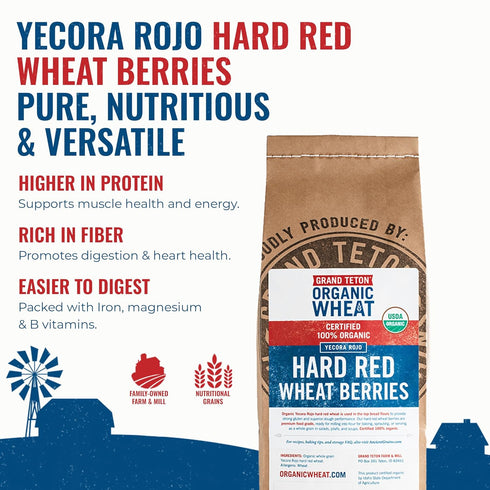 (5 Yecora Rojo Hard Red Wheat Berries by Grand Teton Organic Wheat | Organic Hard Red Spring Wheat Berries for Baking