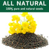 8 oz, SPICES VILLAGE Black Mustard Seeds, Whole Mustard Spice for Pickling and Chutney, Kosher, Gluten Free, Non GMO