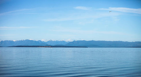 35oz Bulk Flaky Sea Salt - Large Gourmet Salt Flakes - Professional Chef Quality - Handcrafted on Vancouver Island