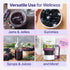 100% 1lb Immune Gummies, 1 Certified USDA - Organic Dried Elderberries - Bulk - Non-Irradiated, Non-Gmo, Whole Black