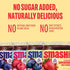 4-Pack Smash Foods Jam | Classics Variety | Low-Calorie, No Sugar Added Keto Jam with Upcycled Fruit & Chia Seeds |