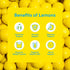 4-Flavor Pack, 15.2 oz (12-Pack) Lemon Perfect Variety Hydrating Flavored Lemon Water, Zero Sugar, Delicious