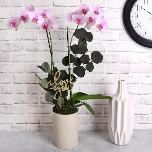 5" Green Circle Growers Light Pink Orchid Plant Love You Edition in Beige Ceramic Planter, Live Indoor Orchid Gift