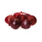 HJZWTS PRODUCE Organic Red Onions, 48 OZ