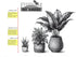 5 Live ZZ Plant in White Duo-Tone Decorative Metal Pot | Indoor Houseplant, Easy Care| Low Maintenance Plant