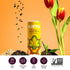 Pack (12 Pack) (5060mg Narra Oat Milk Tea Latte Variety Black Tea, Roasted Oolong & Strawberry Matcha, Smooth Balanced