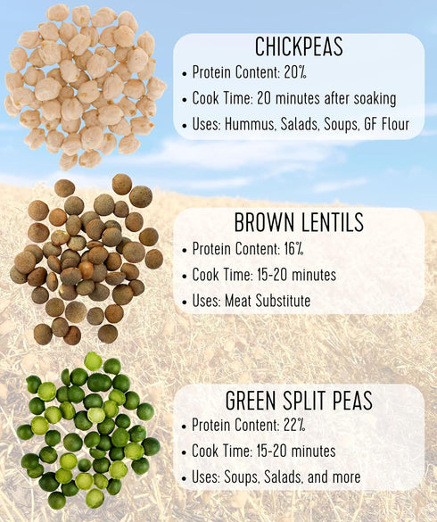 3 LBS Packaging 100% Palouse Brand Certified Glyphosate Residue Free Brown Lentils | Plastic Free | Family Farmed