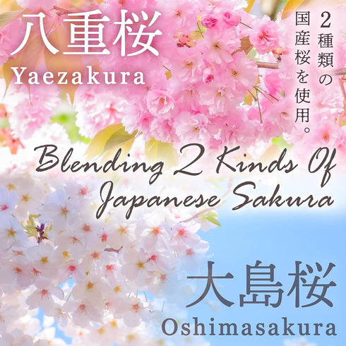 100%, 100g(3.5oz) YAMASAN KYOTO UJI Sakura Latte -Creamy and Aromatic Foam- Using Japanese Cherry Blossom Made