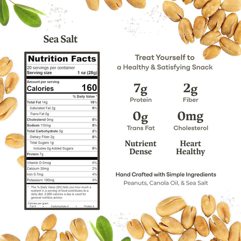 20 oz 25 oz 2) Belmont Peanuts Gourmet Virginia Peanuts, Sea Salt, + Honey Roasted, (Bundle of | Simple Ingredients, No