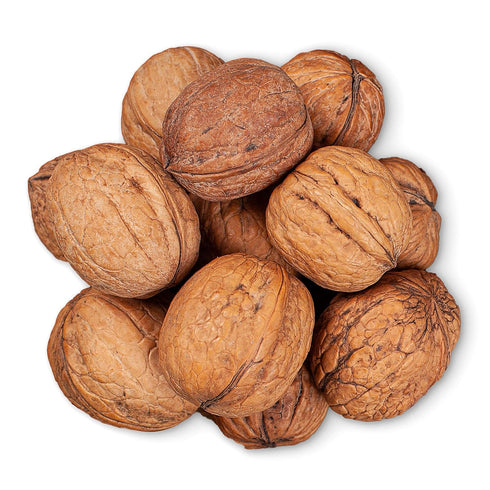 10 Omega-3s Food to Live Jumbo Walnuts in Shell, Ounces California Chandler Variety. Rich in and Antioxidants.
