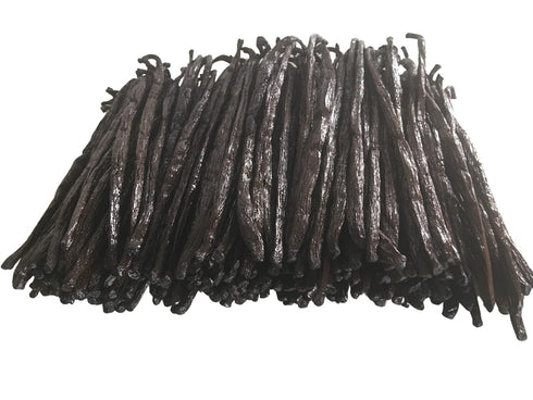 11 Madagascar Organic Vanilla Beans Grade A, Certified USDA Organic ~6" by FITNCLEAN VANILLA for Cooking and Baking