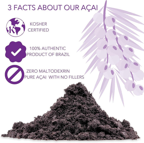Slofoodgroup Freeze Dried Açaí Powder, Pure Acai Powder from Brazil, 8 oz