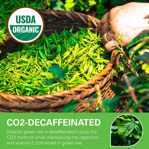 100 Count CO2-Decaffeinated WT WEETEE Organic Decaf Green Tea Bags, Organic Green Tea | | Super Antioxidant |