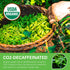 100 Count CO2-Decaffeinated WT WEETEE Organic Decaf Green Tea Bags, Organic Green Tea | | Super Antioxidant |