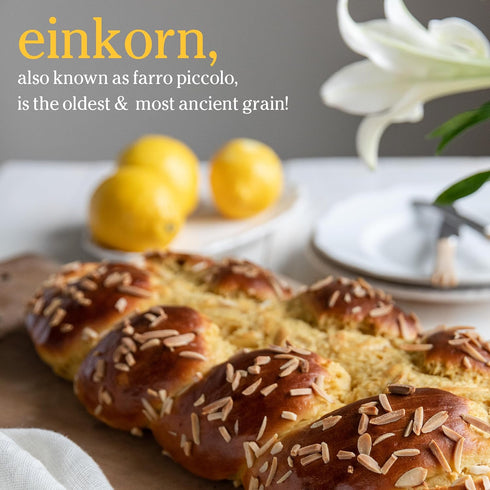 100% 16 Oz, 3 Pack Jovial Einkorn Organic Wheat Berries - Einkorn Berries, Organic Farro, High Protein, Non-GMO, USDA