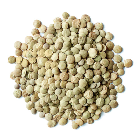 3 Organic Whole Green Lentils, Pounds Non-GMO, Dried Raw Beans, Sproutable, Vegan, Kosher, Bulk. High in Folate
