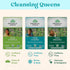 Immune 18 6 Pack Organic India Tulsi Cleanse Detox Tea - Holy Basil, Ginger, Turmeric, Herbal Tea, Stress Relieving