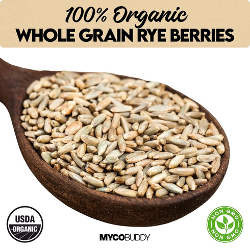 Myco Buddy 5 lbs Organic Rye Berries - Non-GMO, Kosher, Raw Whole Grain, Bulk Seeds - Product of USA