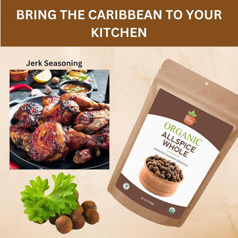 16 oz. SPICY ORGANIC Pure Organic Allspice Berries Whole Certified USDA Organic - Premium Pimento Seeds and Peppers