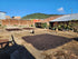 5 lb) Tesoros Del Pais Green Unroasted Coffee Beans Ahuachapan, El Salvador Single Estate High Elevation (Honey washed