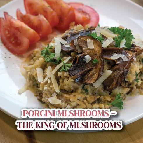 3oz Gourmanity Dried Porcini Mushrooms, Extra Grade Dried Mushrooms, Umami Flavor Captured, Great for Cooking, Non GMO