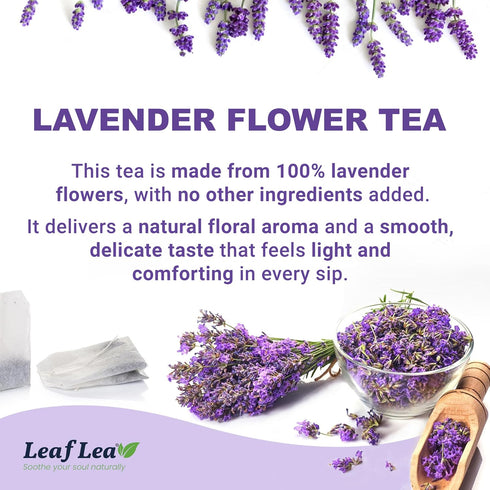 80 100% LeafLea Premium Lavender Tea Bags, Natural & Pure from Lavender Flowers, Nighttime Comfort & Digestive Support
