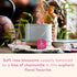Organic India Tulsi Sweet Rose Herbal Tea - 3.5 oz Canister, Holy Basil, Vegan, Caffeine-Free, Immune Support