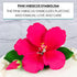 Global Sugar Art Hibiscus Sugar Cake Flower Spray, Hot Pink Hawaiian Cake Flower, 1 Count by Chef Alan Tetreault