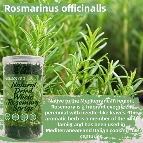 YJSLSQIYP 7-8" 1.76oz Naturally Dried Whole Rosemary Sprigs, Long | Culinary Herb for Cooking, Baking, Tea & Crafts |