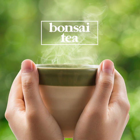 Bonsai Tea Co. 2.0, 100 Count Chai Spice, Compatible with K Cup Brewers Including