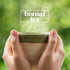 Bonsai Tea Co. 2.0, 100 Count Chai Spice, Compatible with K Cup Brewers Including