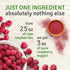SEL BERRY 100% 3 oz All-Natural Freeze Dried Raspberry Powder for Baking & Smoothies | Pure Raspberry Flavoring Powder