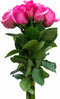Flower Explosion 12 Stems - Fresh Cut Hot Pink Topaz Rose Bouquet from