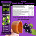 30 Pack ZEARAW Healthy Fruit Snacks for Adults and Kids Fruit Leather with Dried Apple-Black Currant, Pear-Mango