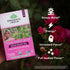 17mg 18 (Pack 3) Organic India Tulsi Sweet Rose Assam Black Tea - Stress Relieving & Elevating, of Caffeine Per Cup