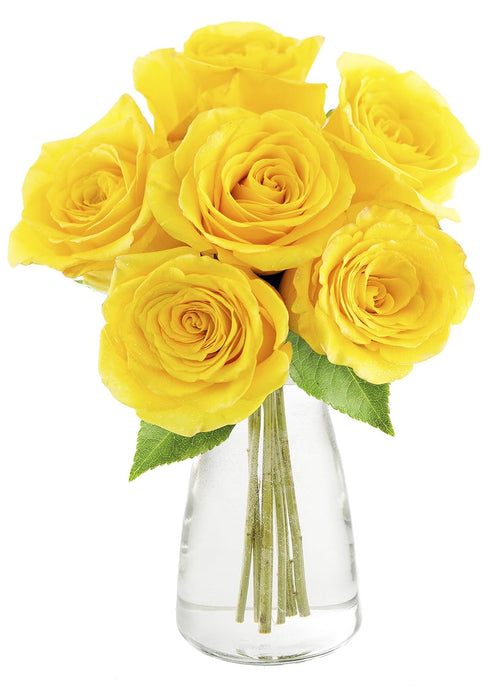 KaBloom - Yellow Sunshine Bouquet of 6 Fresh Cut Yellow Roses (Farm-Fresh,