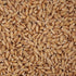1.5 Spelt Berries, Pound Bulk Bag, Hampton Distribution