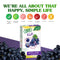 TRUE LEMON KIDS Groovy Grape - 10 Packets for Hydration, Low Sugar Water Flavoring, No Preservatives or Artificial